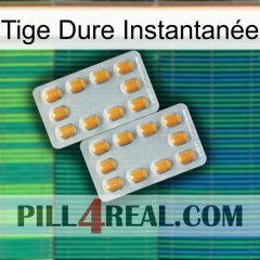 Tige Dure Instantanée cialis4